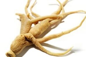 Ginseng Wurzel, um die Potenz zu verbessern
