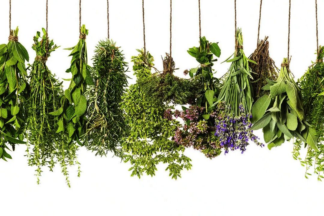 tropischer Kräuterextrakt in Eroboost